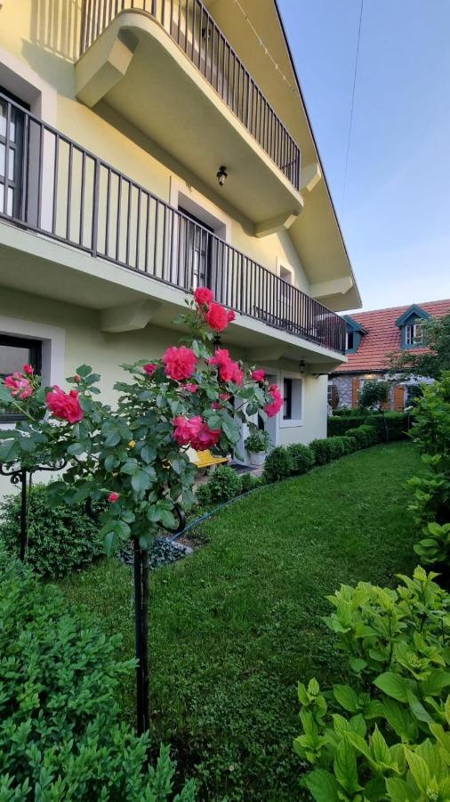 Apartman L&M سيتينيي المظهر الخارجي الصورة